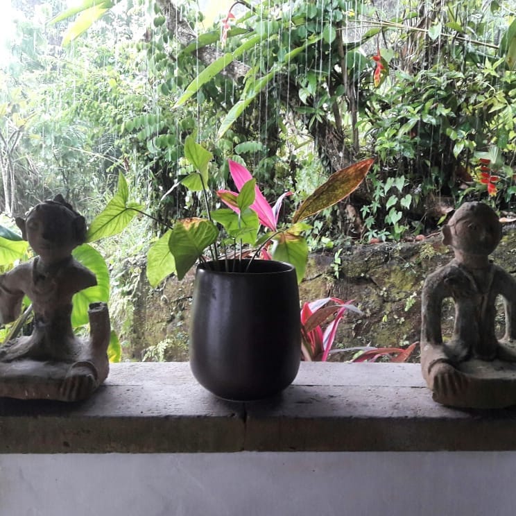 42656904_10161082552070232_4627087942949535744_n