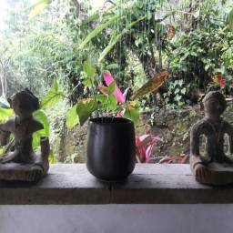 42656904_10161082552070232_4627087942949535744_n